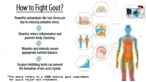 What is Gout